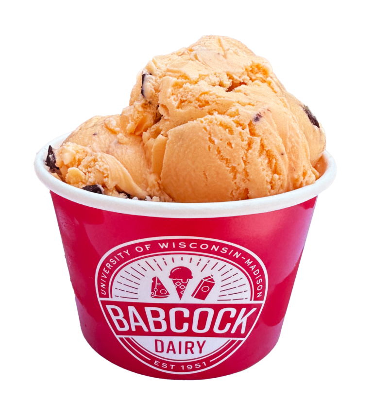 Orange Custard Chocolate Chip Ice Cream