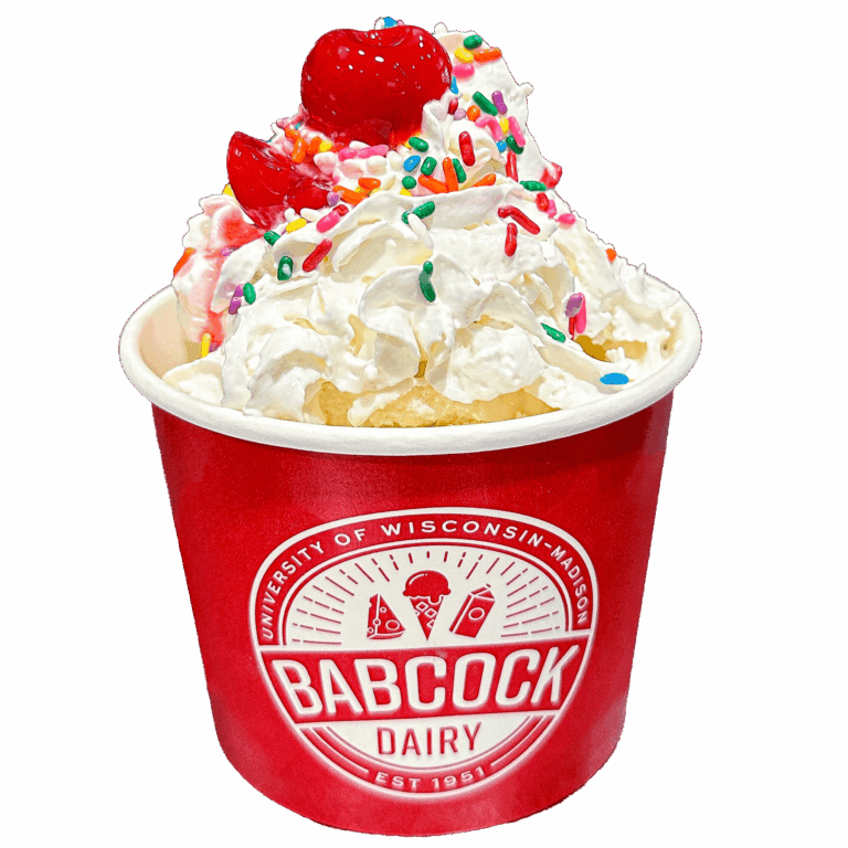 Regular Ice Cream Sundae