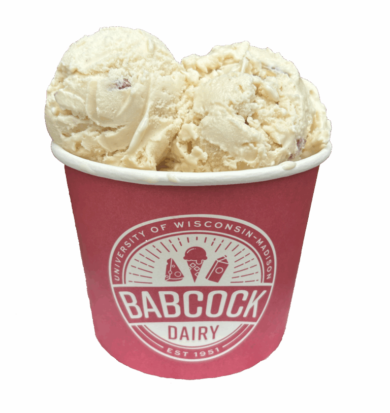 Butter Pecan Ice Cream