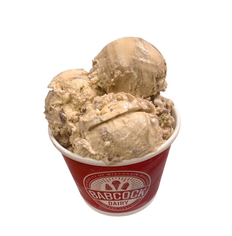 Levylicious Salted Turtle